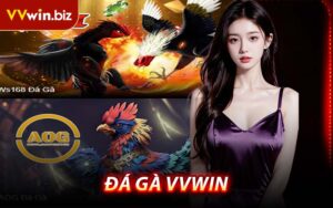 đá Gà VVWIN
