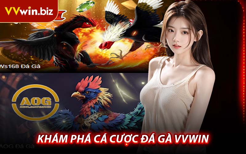 Khám Phá Cá Cược Đá Gà VVWIN