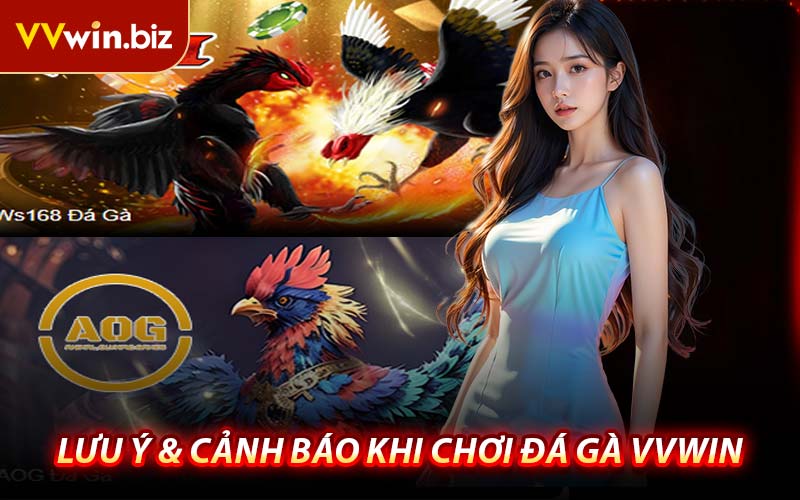 Lưu Ý & Cảnh Báo Khi Chơi Đá Gà VVWIN